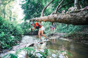 BIB: 
                            <button type="button" onclick="openModal(25435156)" class="btn btn-primary btn-sm float-right btn-popup" data-toggle="modal" data-target=".modal-high-quality">
                        <i class="fas fa-shopping-cart"></i> Add to Cart
                    </button>
                                            <button type="button" onclick="isThisMe(25435156, true)" class="btn btn-success btn-sm float-right btn-popup btn-isme hidden" data-toggle="tooltip" data-placement="bottom" title="นี่คือรูปของคุณใช่ไหม คลิกที่นี่เพื่อเอาเข้าอัลบั้ม">
                        <i class="fas fa-plus"></i> Add to album
                    </button>
                    <button type="button" onclick="isThisMe(25435156, false)" class="btn btn-warning btn-sm float-right btn-popup btn-isnotme hidden">
                        <i class="fas fa-ban"></i> Remove from album
                    </button>